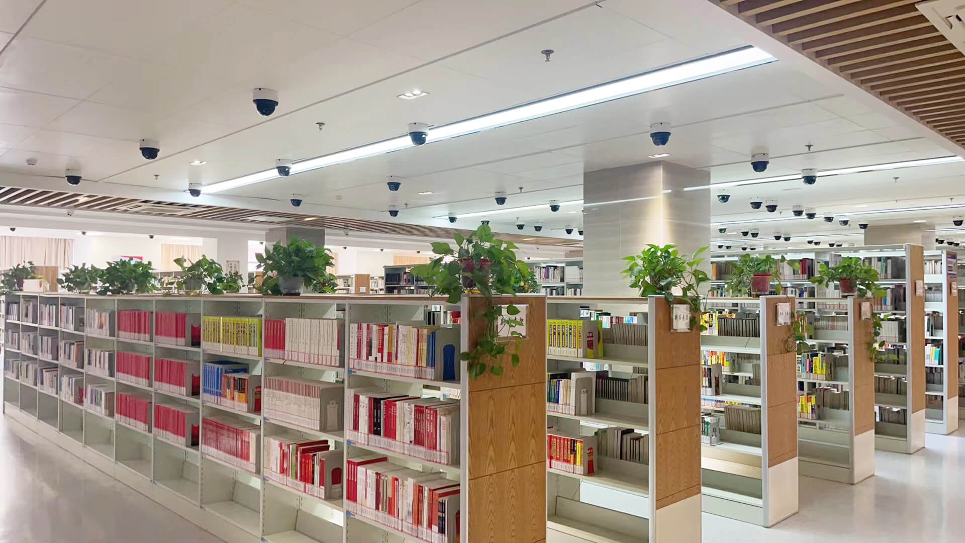 Intech AI vision inventory system on Nanjing Pukou District Library